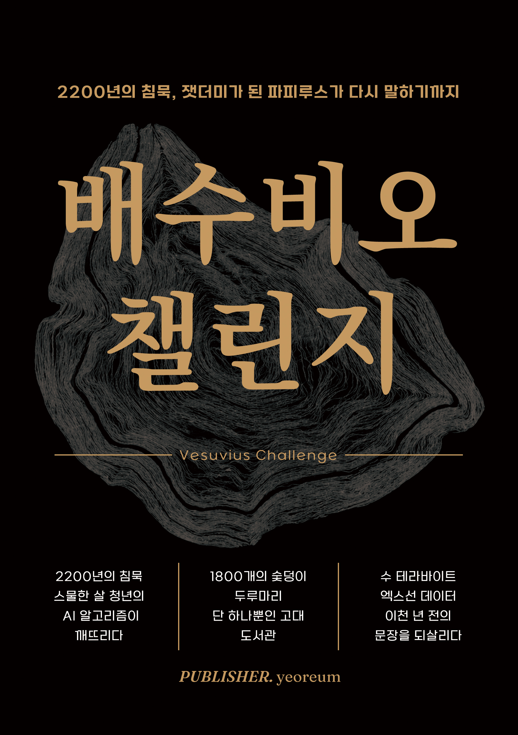 배수비오 챌린지 표지