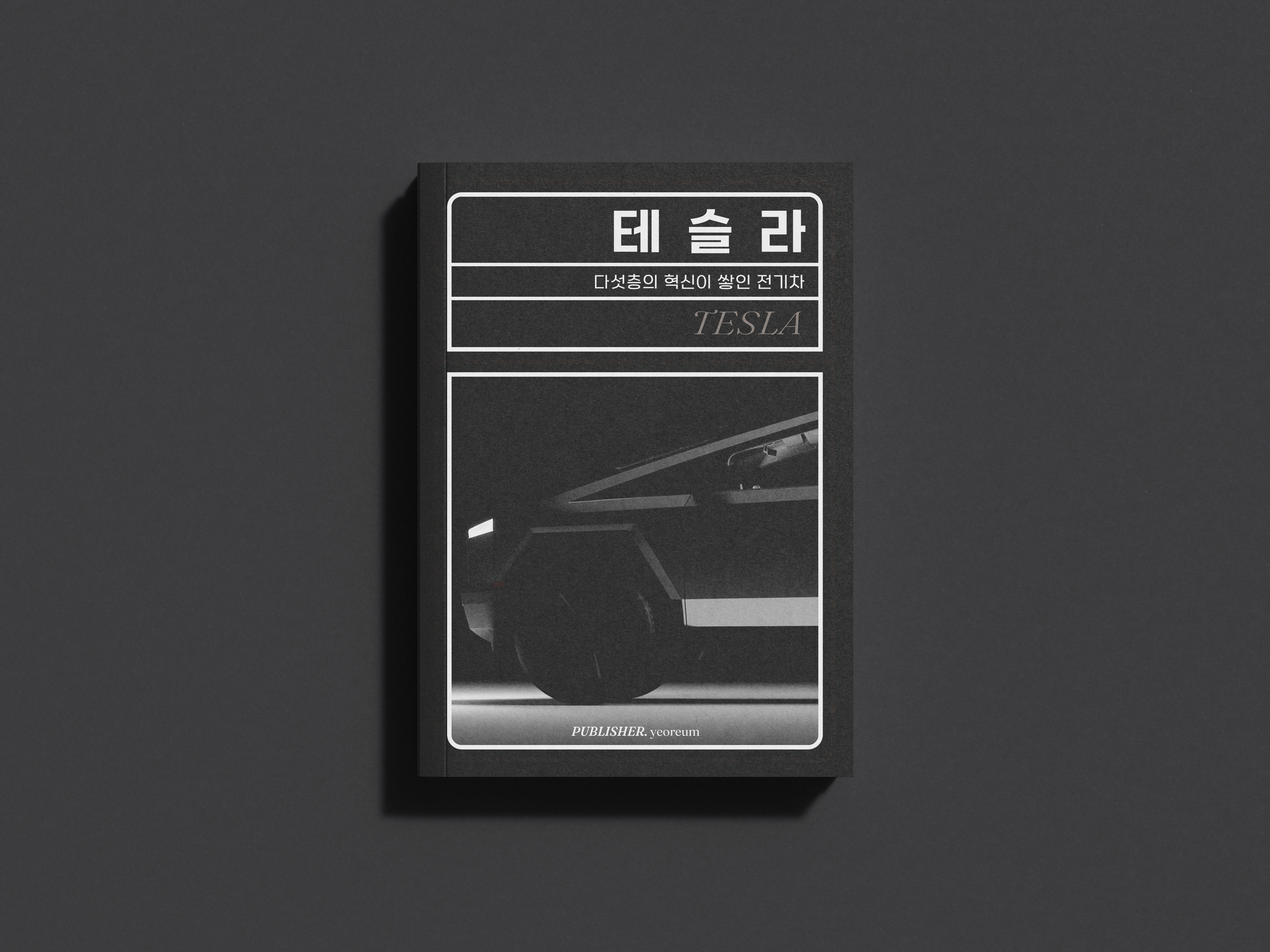 테슬라 상세이미지 1