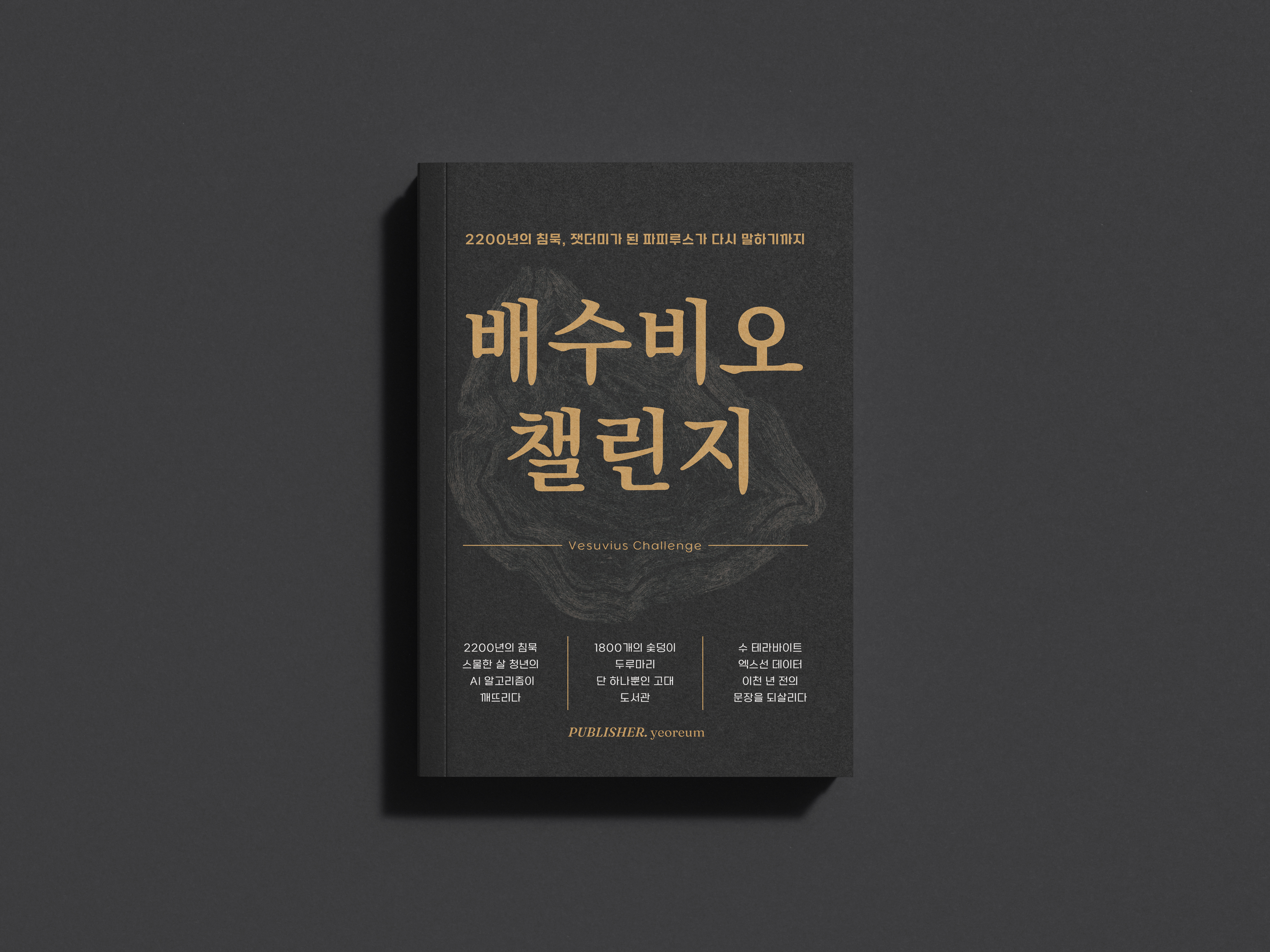 배수비오 챌린지 상세이미지 1